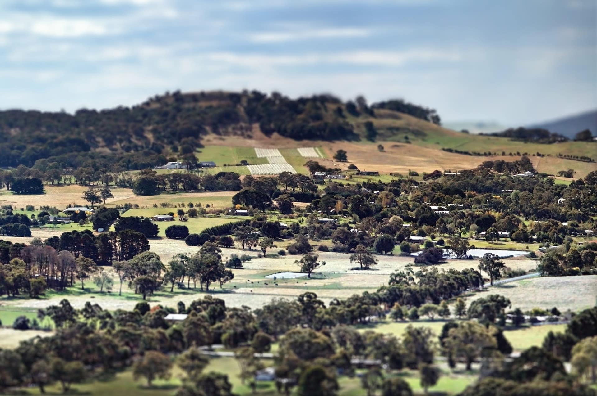 Australian farmland