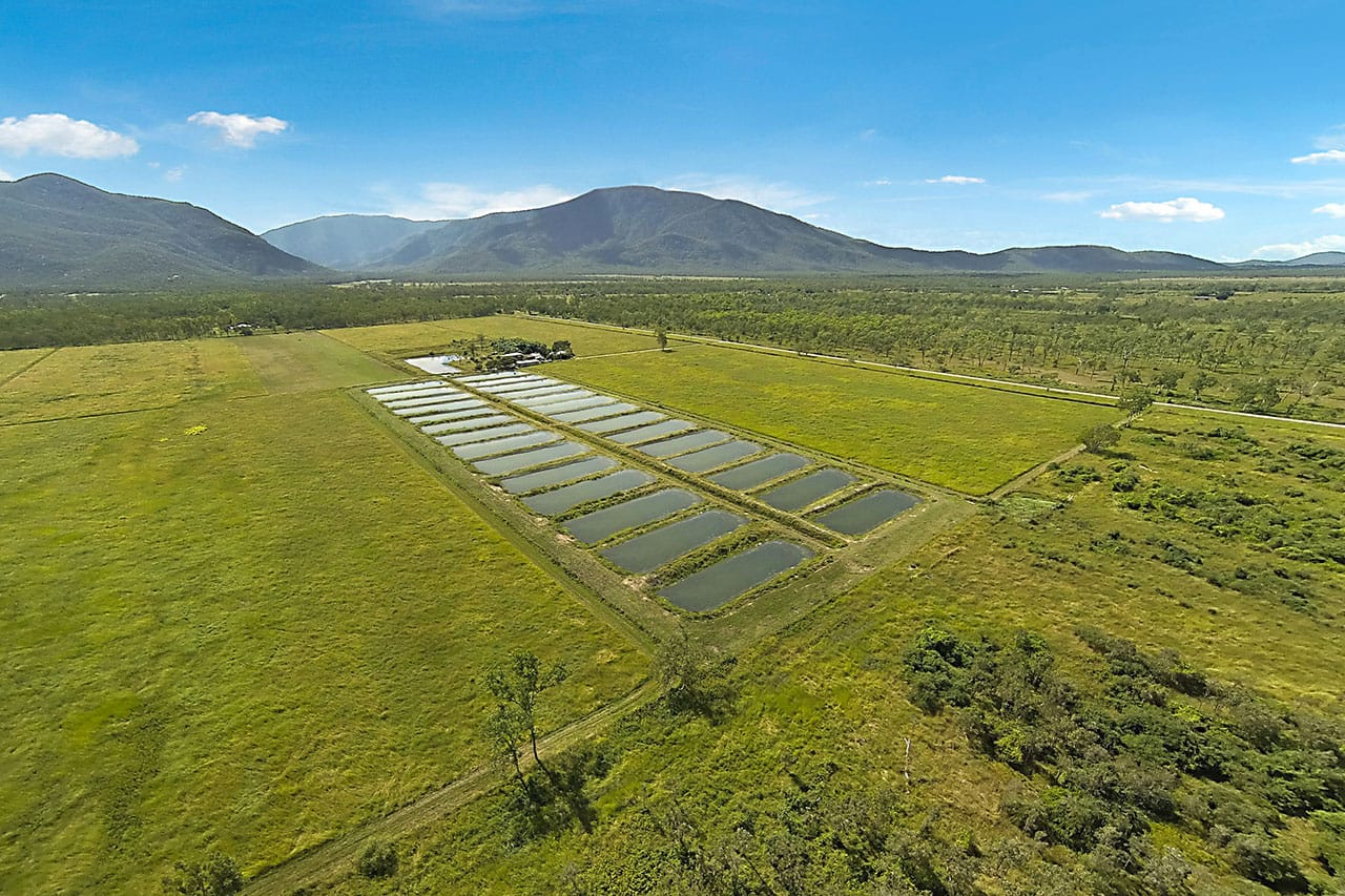 Ausgold-Aquaculture