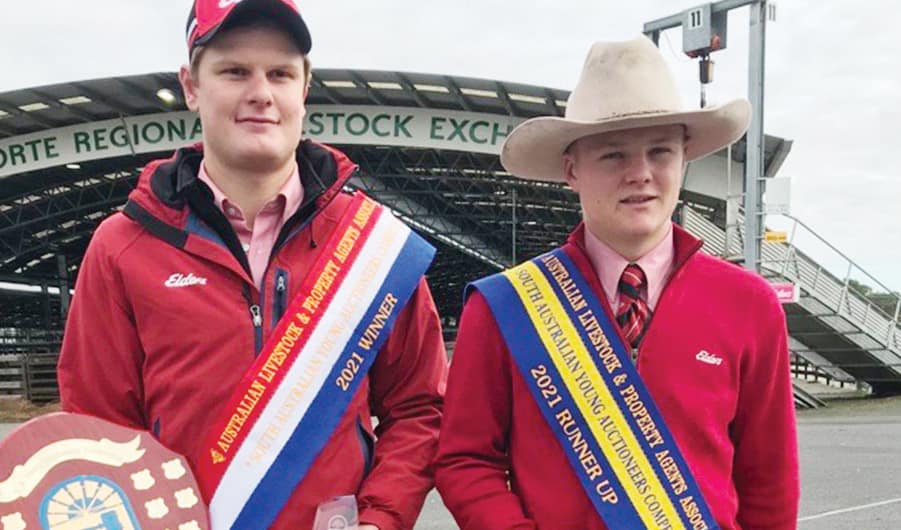Lucindale auctioneer