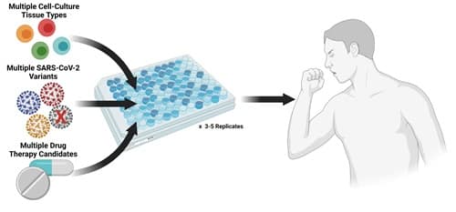 MRFF systems biology