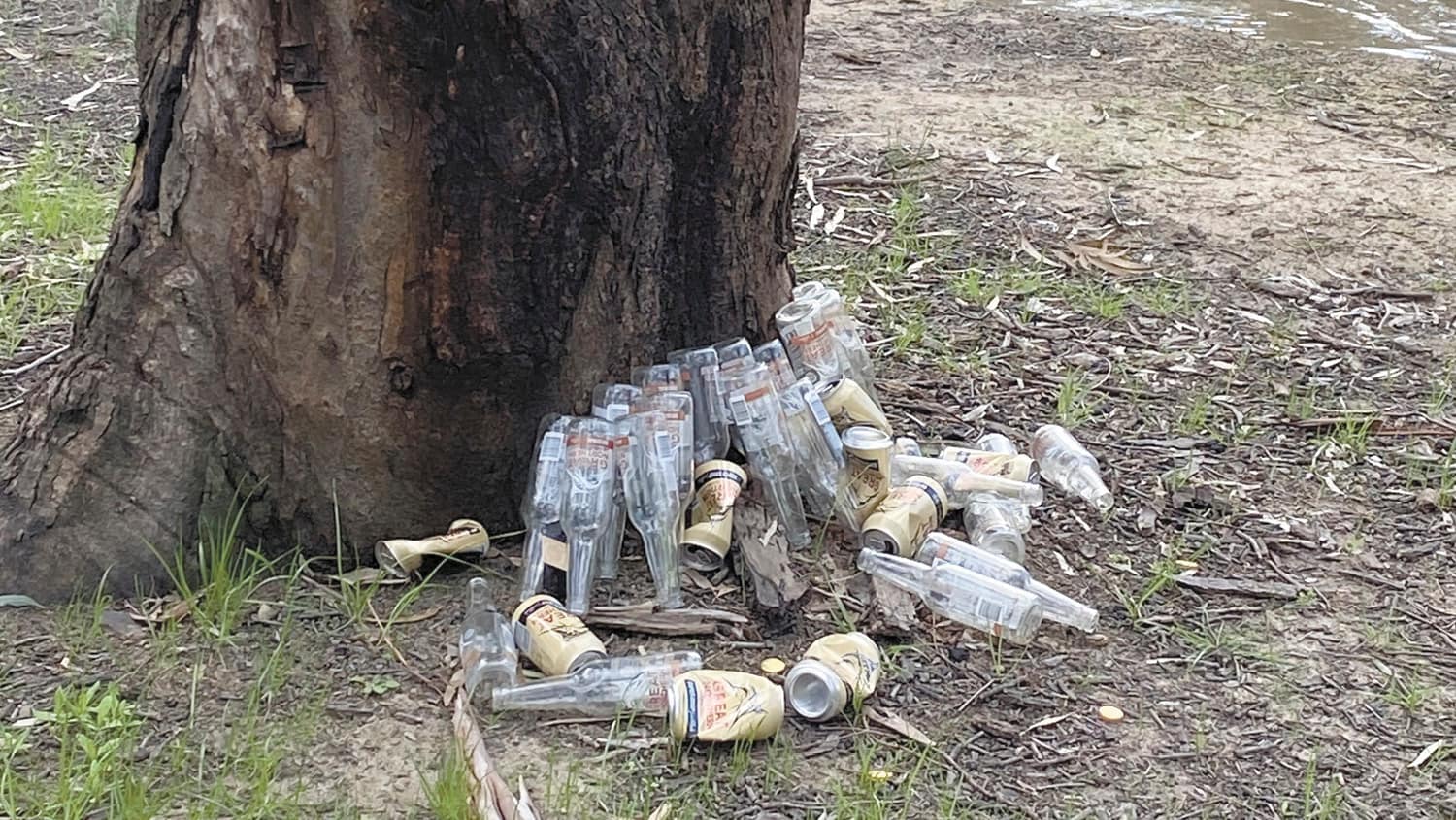 Trash in Guttrum