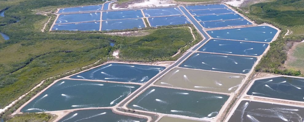 Aquaculture