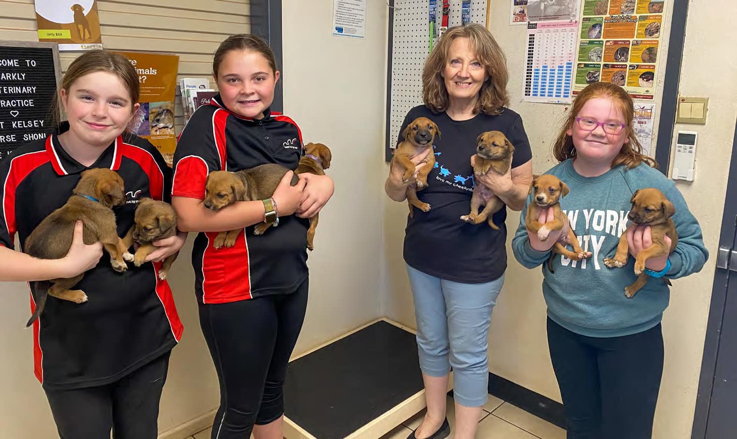 Happy puppies