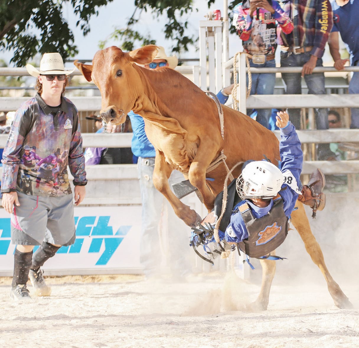 Weipa Bullride