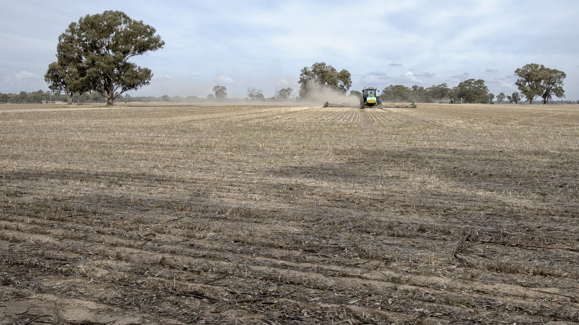 farm in the dry