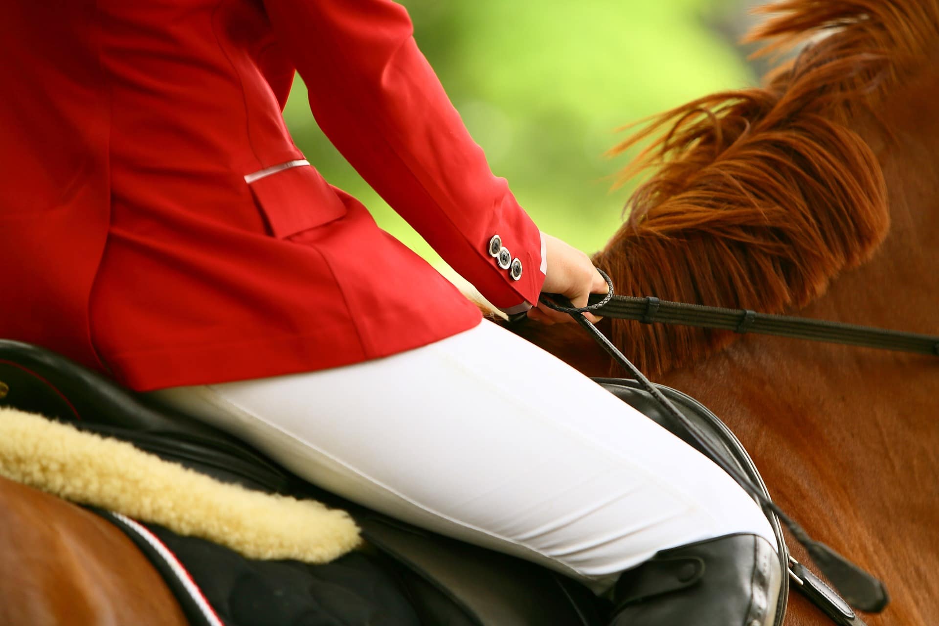 Equestrian