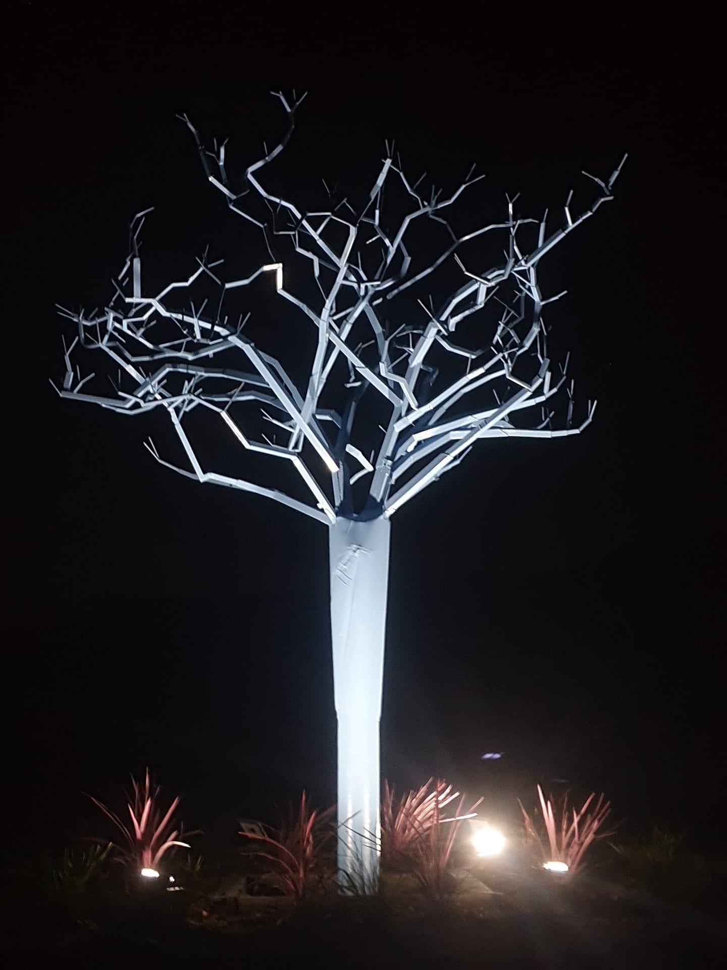 Lithgow Blue Tree