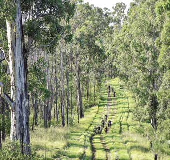 Kyogle Mountain Bike Club