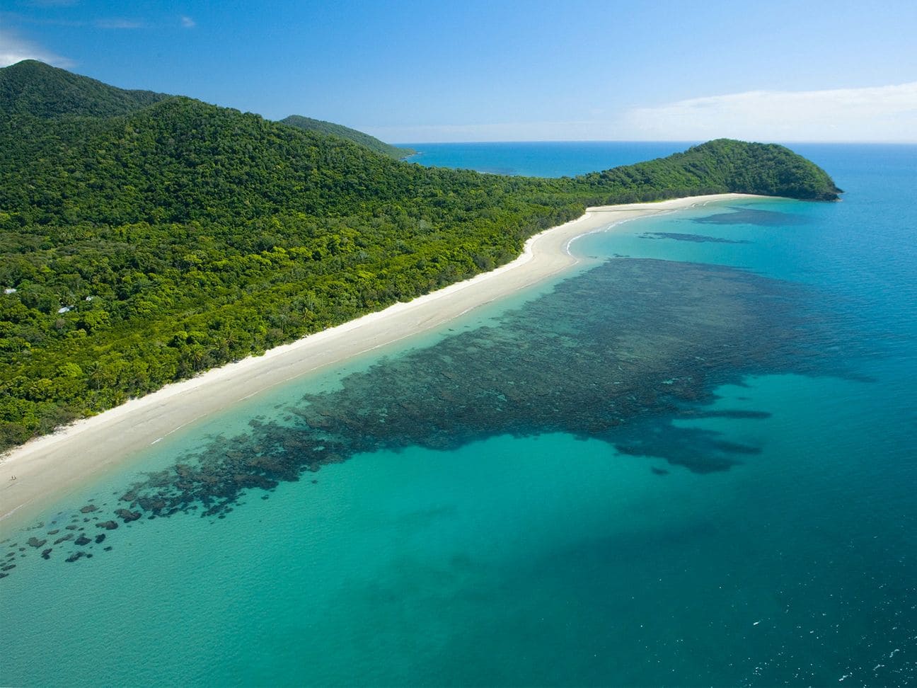 The Daintree