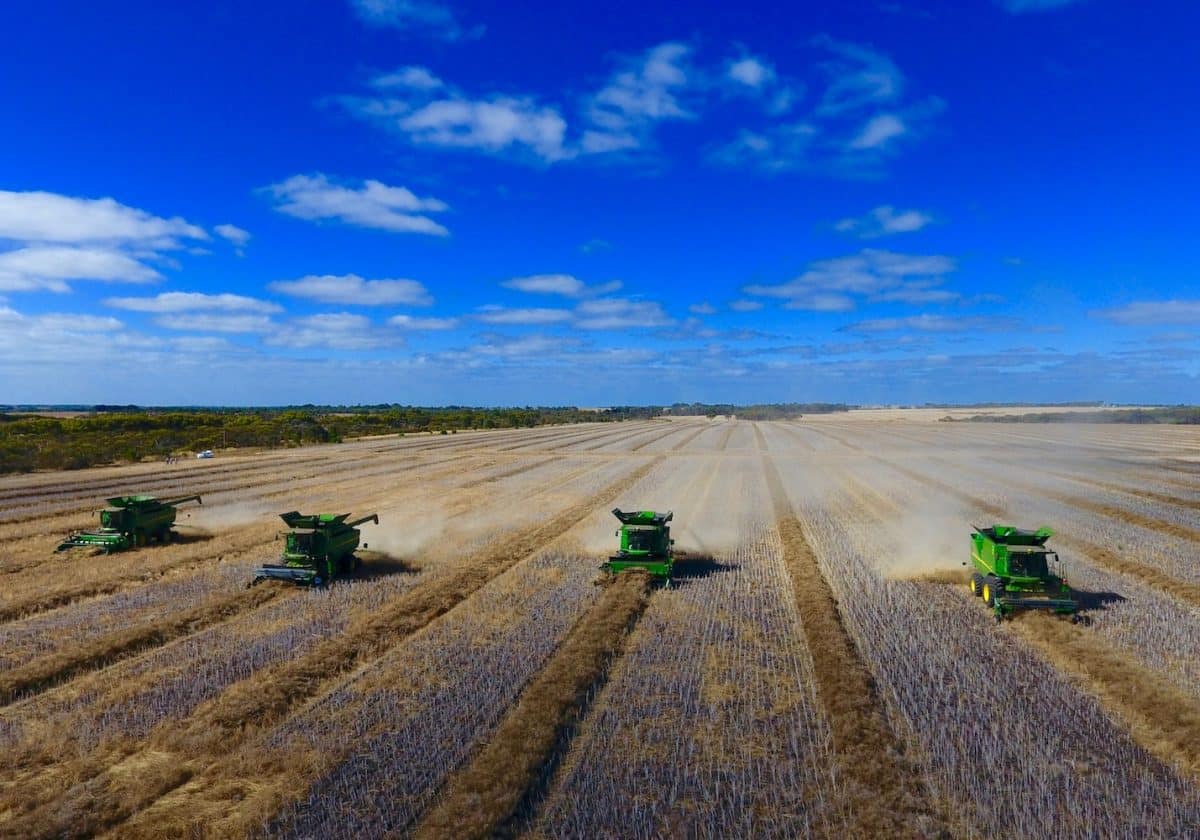 Lawson Grains