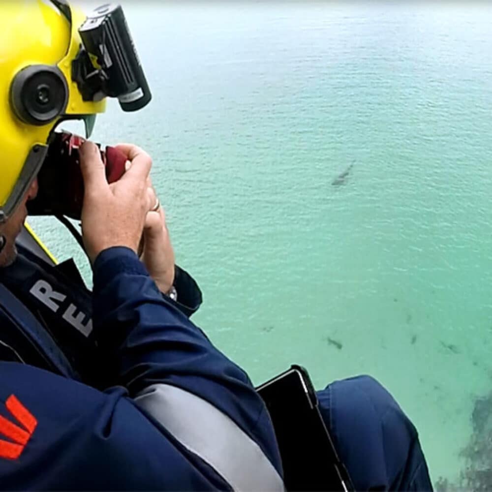 SharkSmart SLSWA