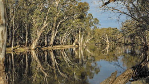 Niemur River