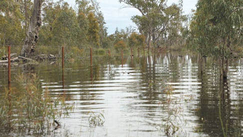 Flooding