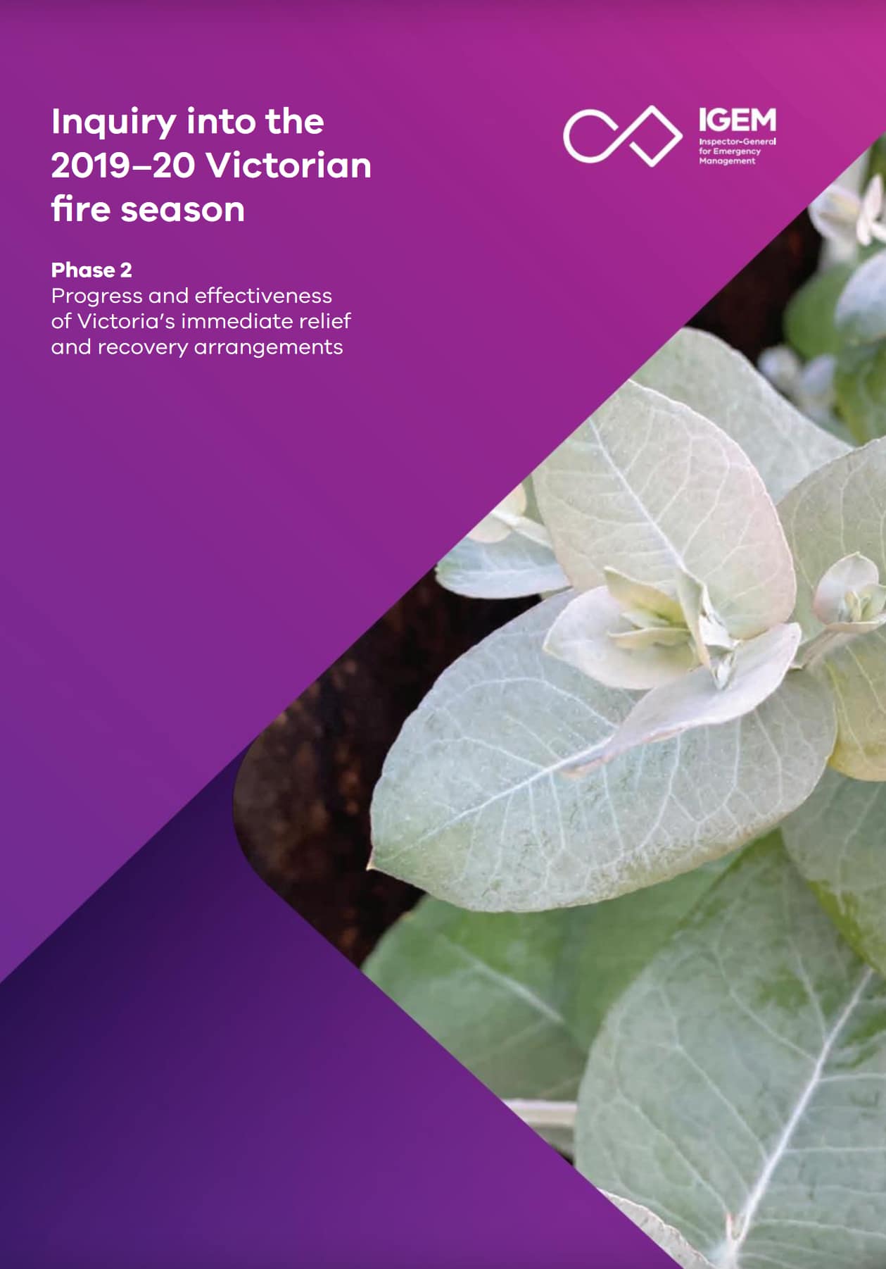 IGEM Inquiry Phase 2 cover