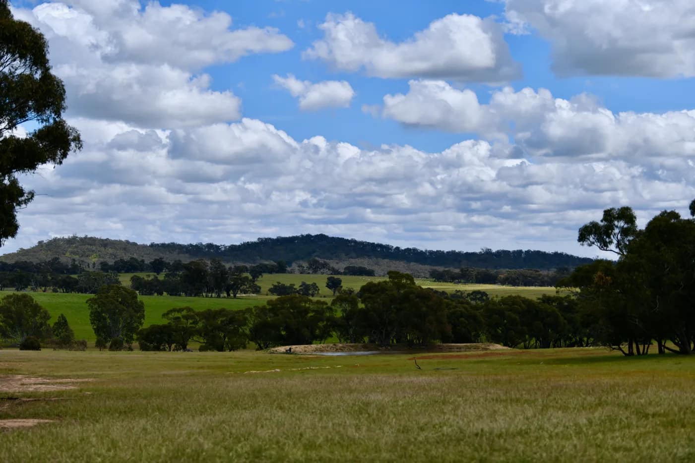 Blue Hills