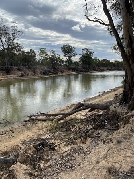 Riverbank erosion