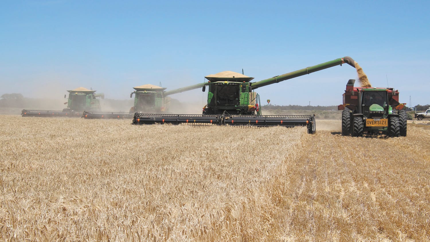 Headers. Photo by Ruth Arthur
