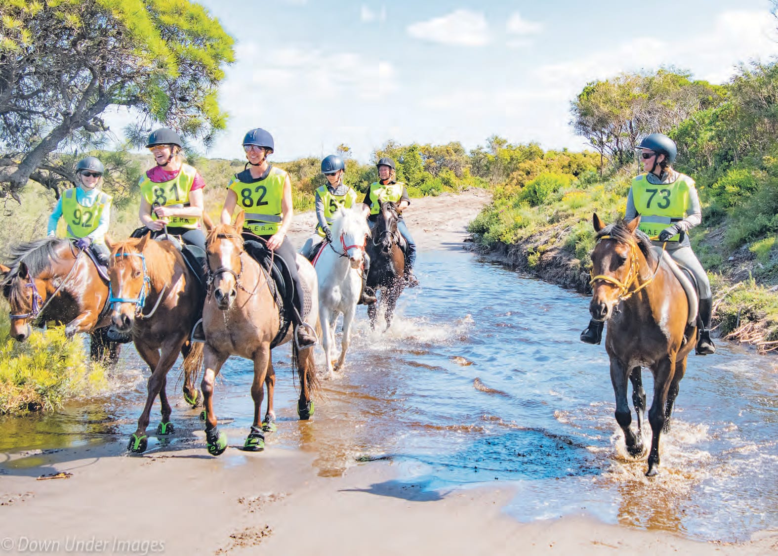 WA Endurance ride