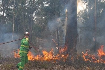 Backburning