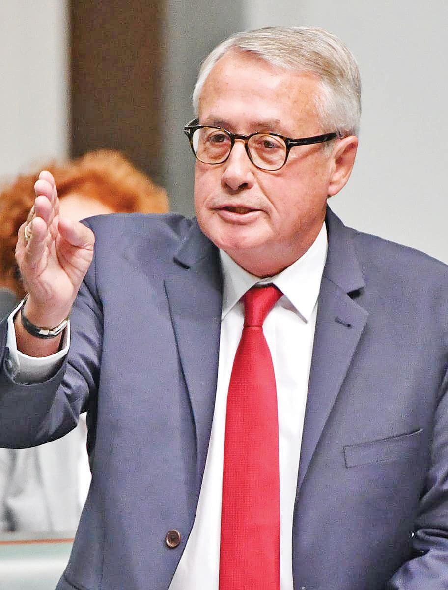 Wayne Swan