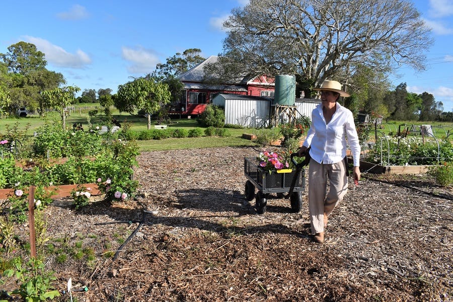 Flower farming 2