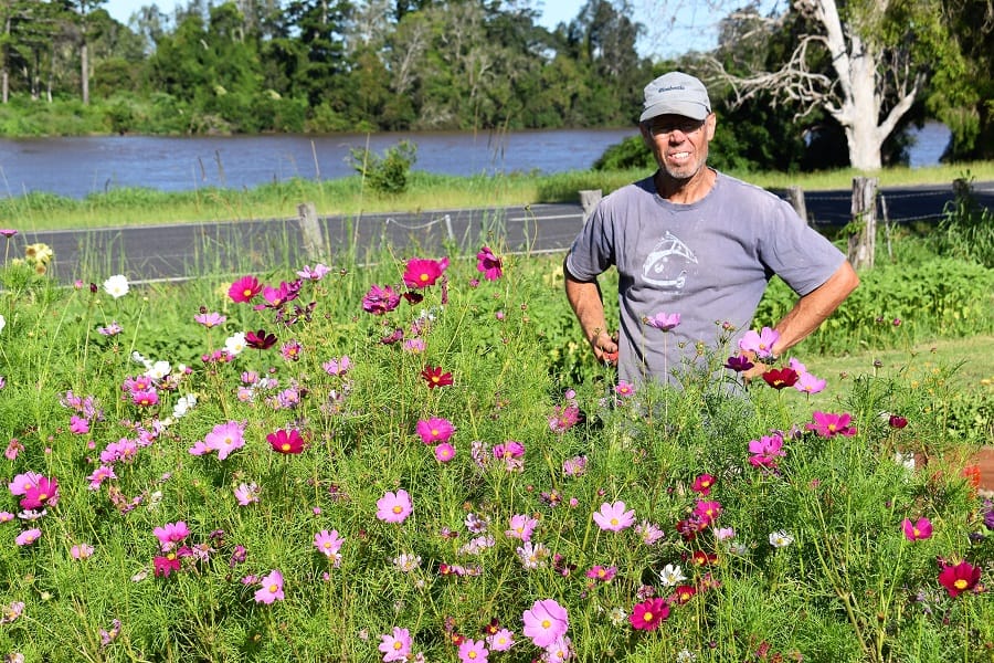 Flower farming