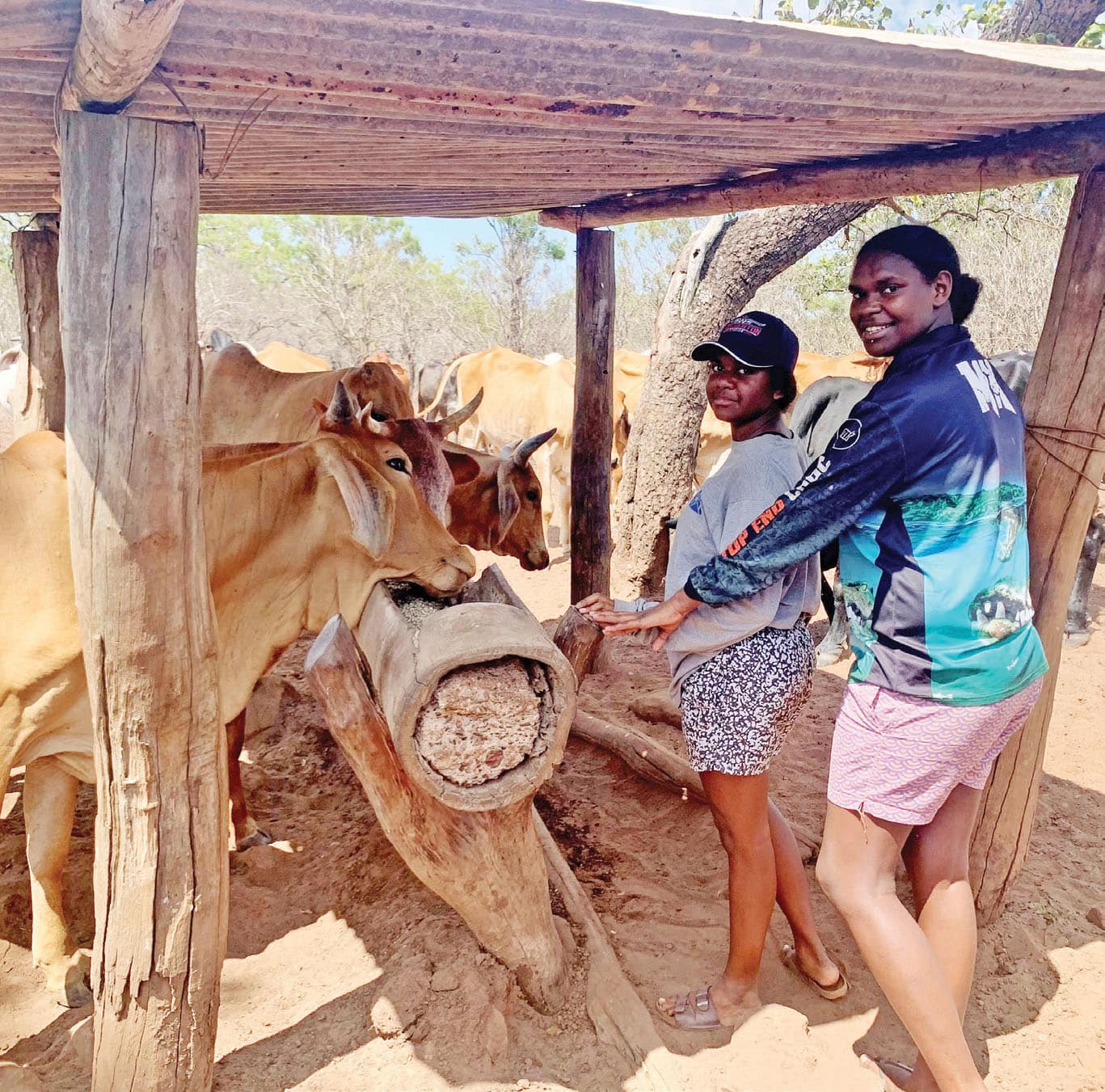 Cattle girls