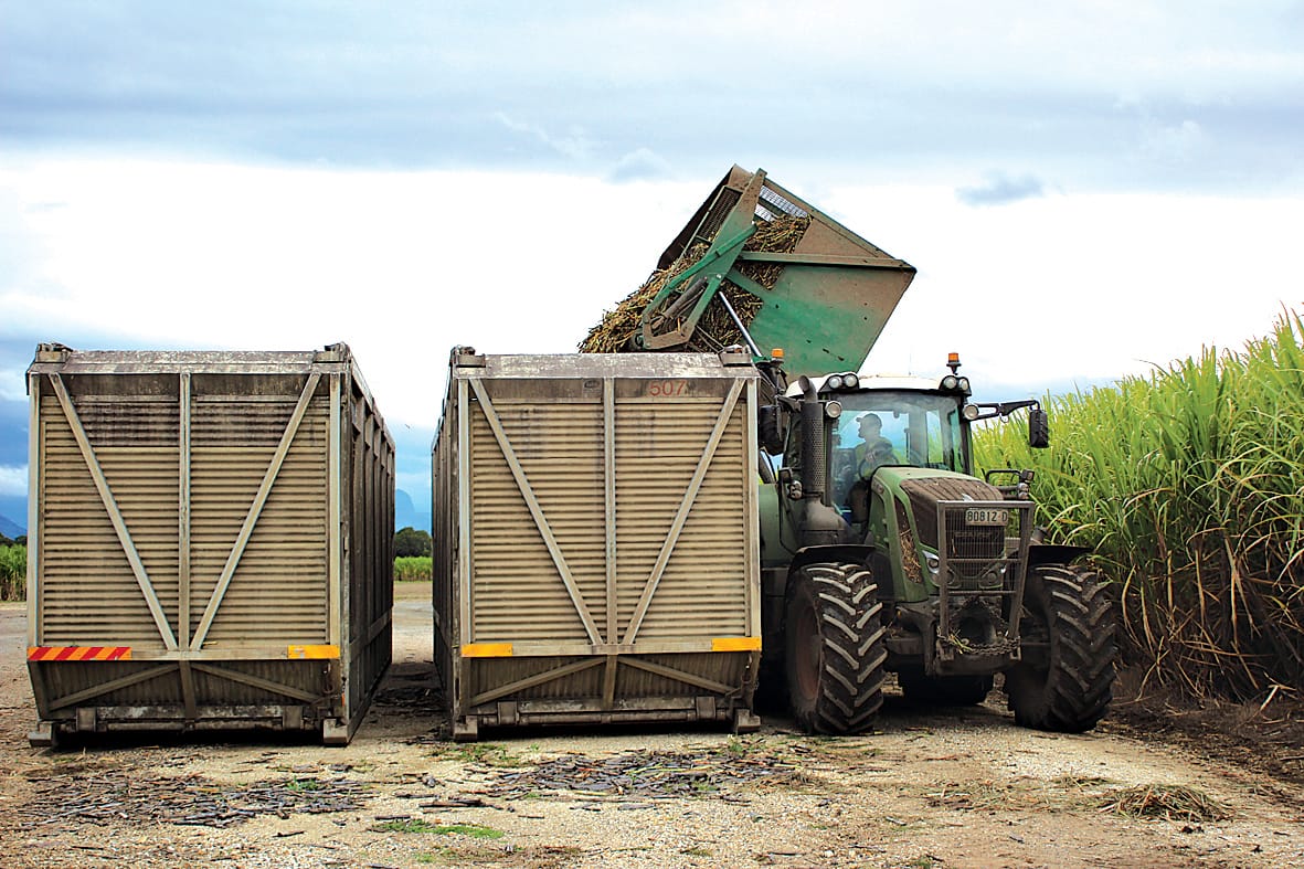 Cane buggy