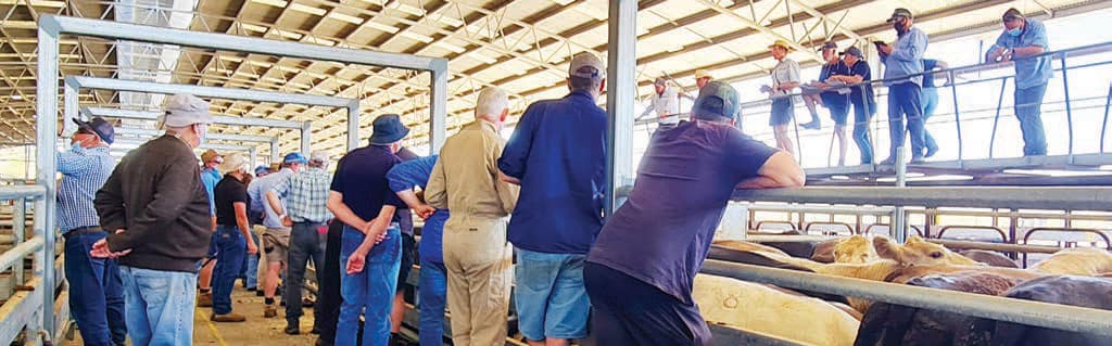 Saleyards
