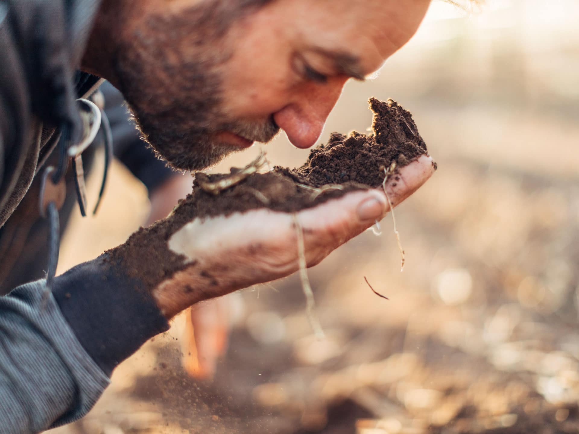 Vineyard soil health