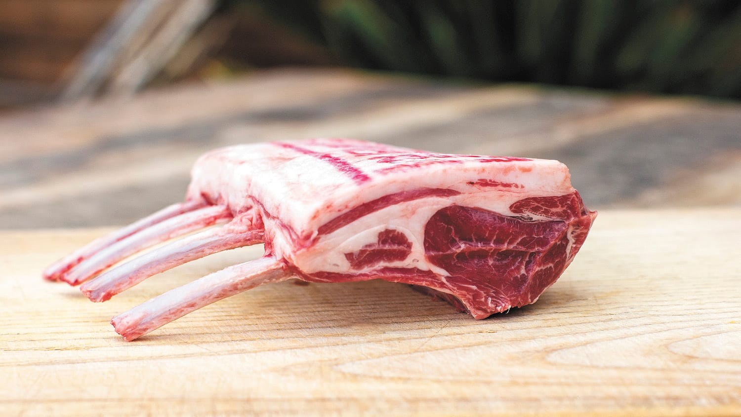 Big Paddock Farm lamb