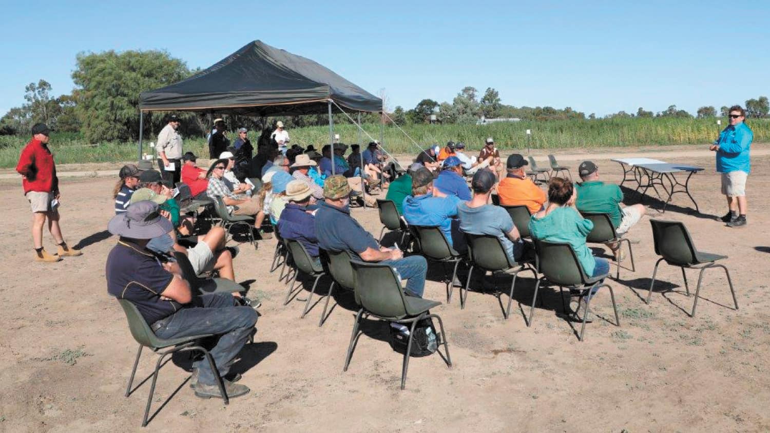 Hemp trials group