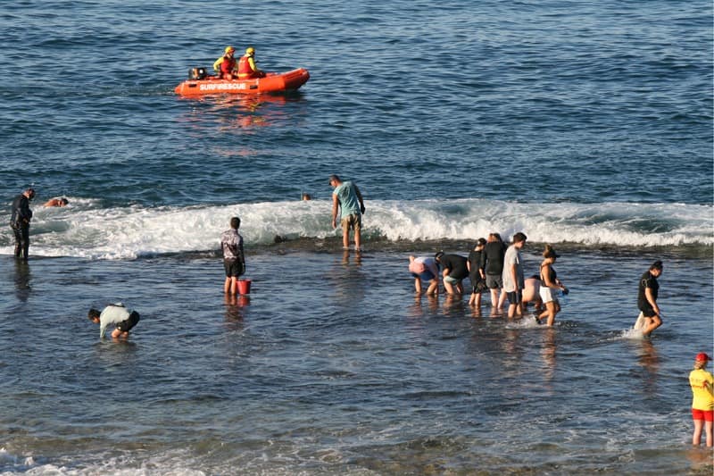 Abalone fishing