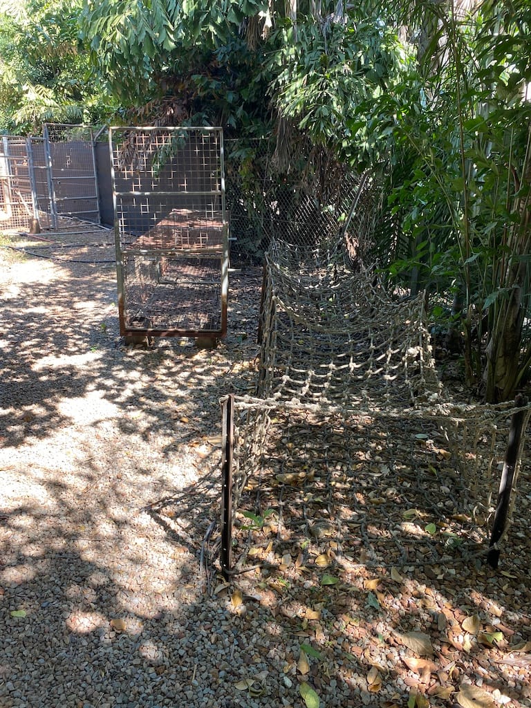 Crocodile trap