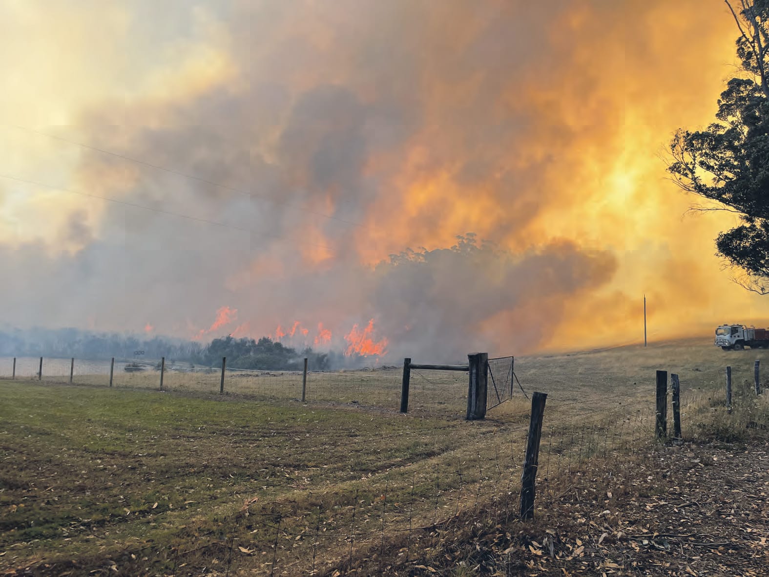 Osborne Road blaze