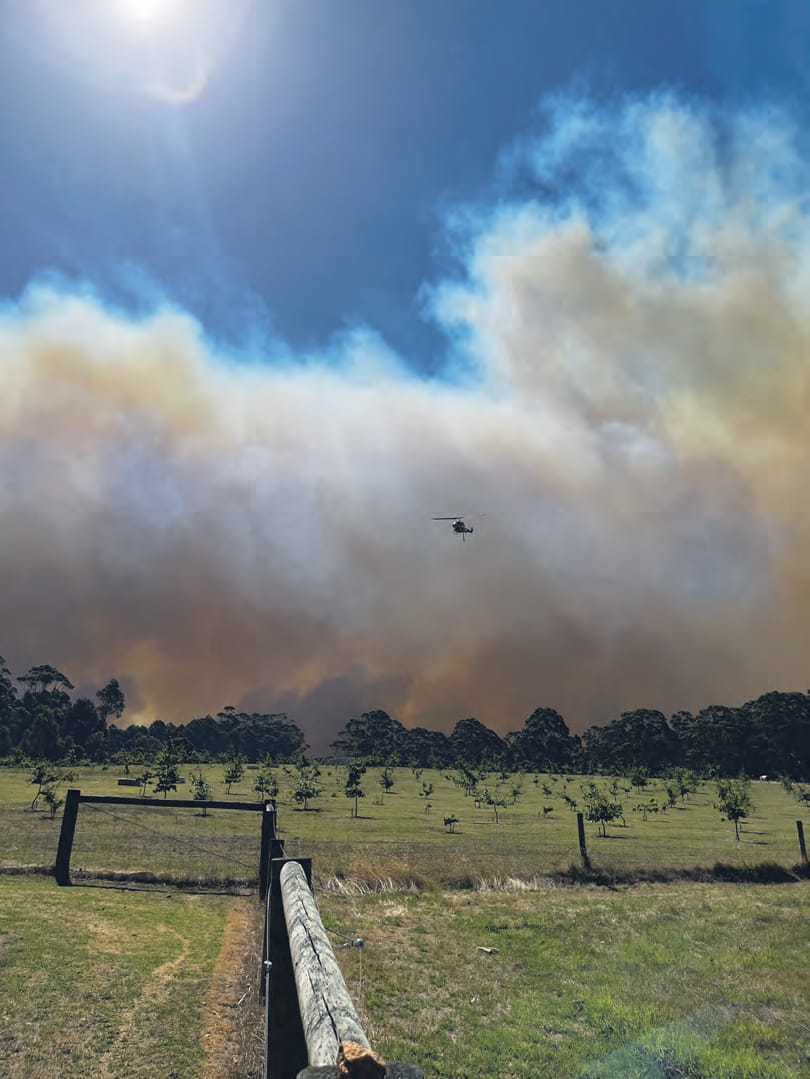 Osborne Road fire
