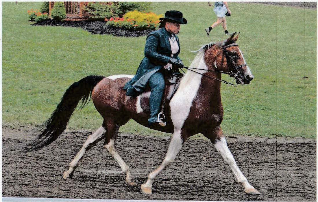 Koorawatha Show horse events