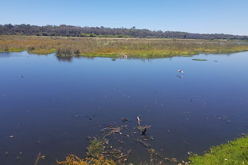 Lake McNess