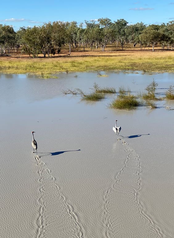 The Lakes Qld