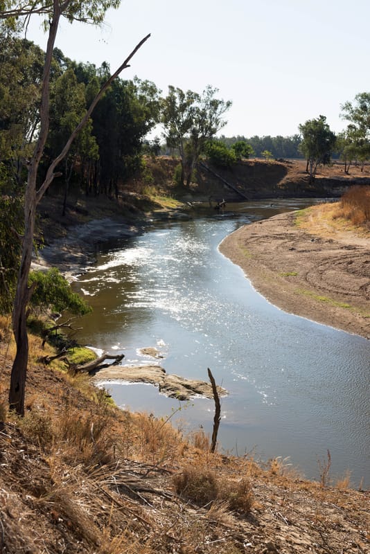 Macquarie River, near Warren NSW