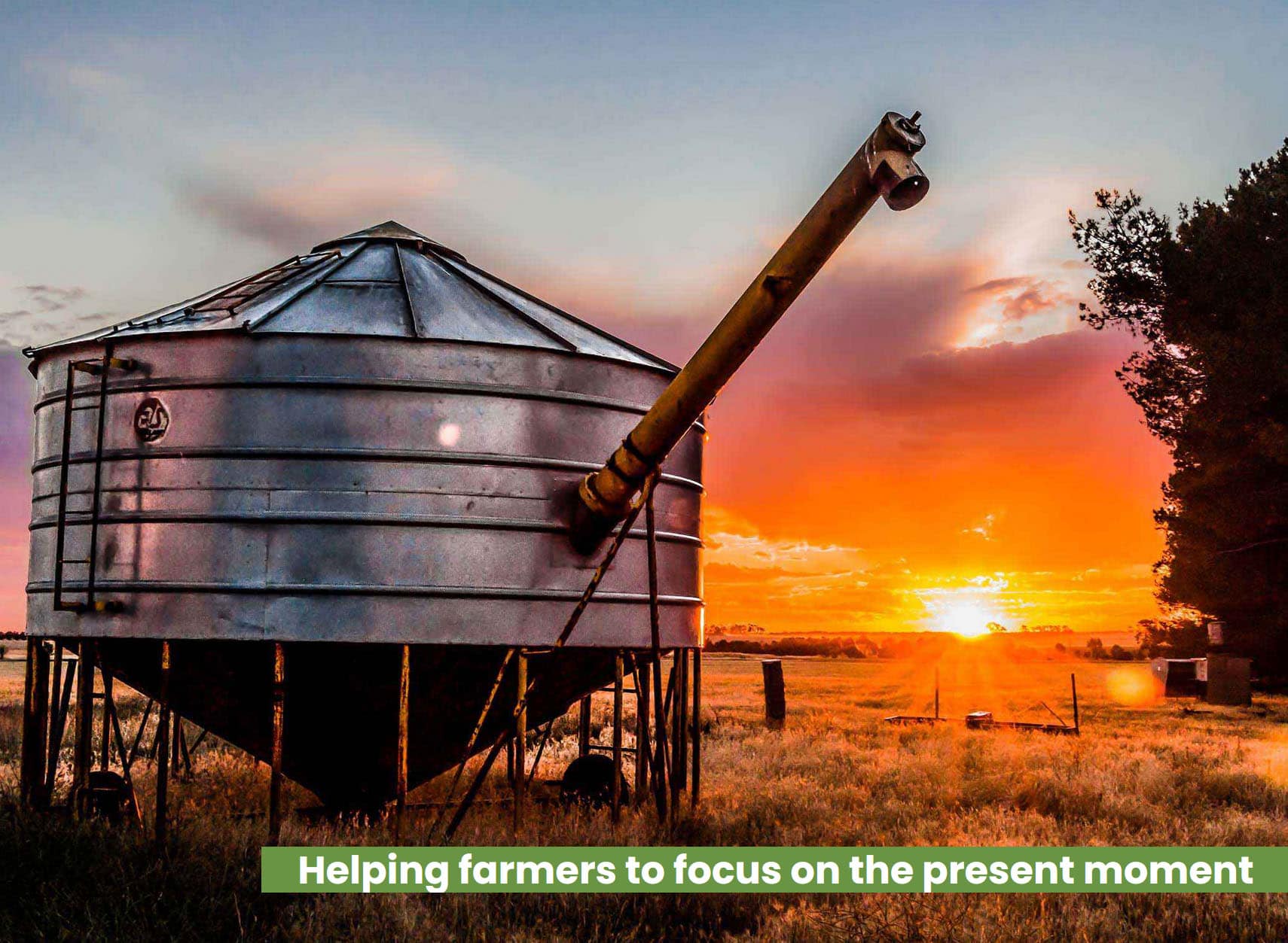 ifarmwell image