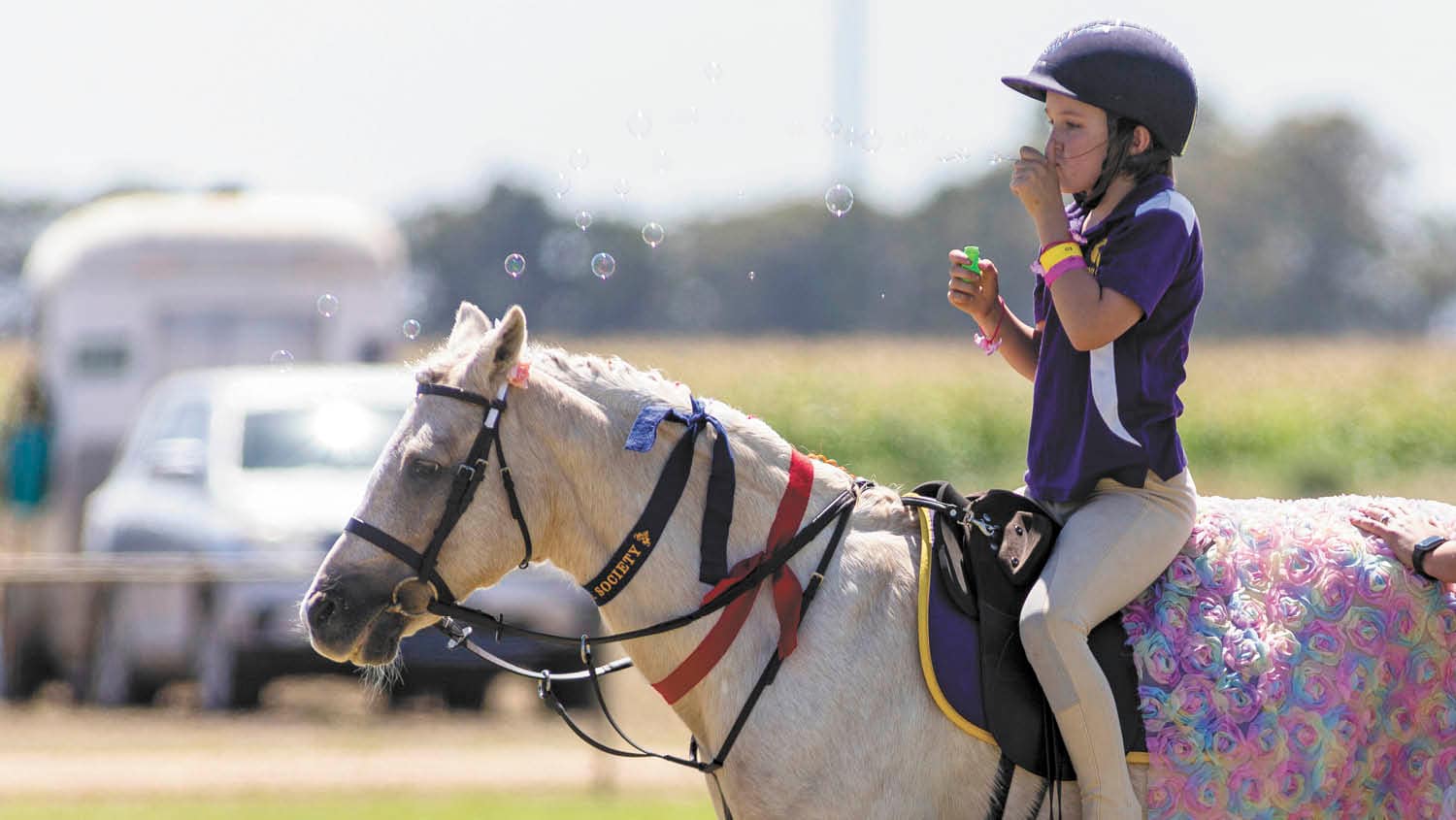 Bubble horsie