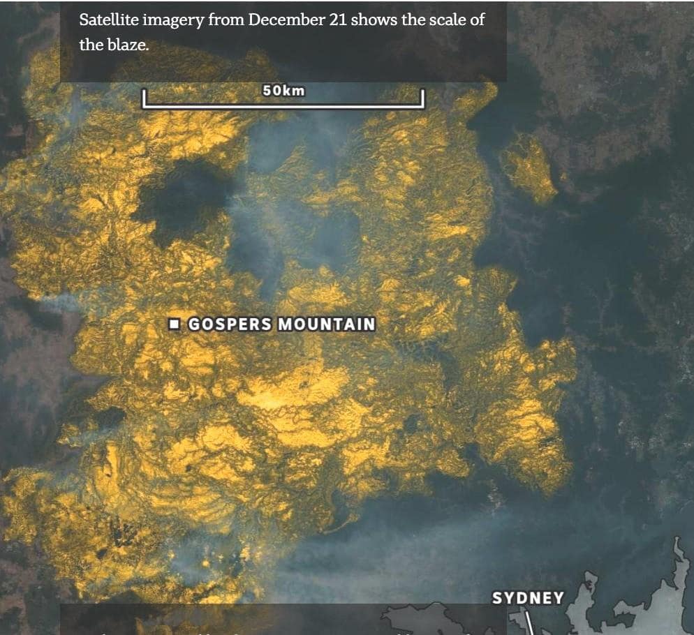 Satellite image