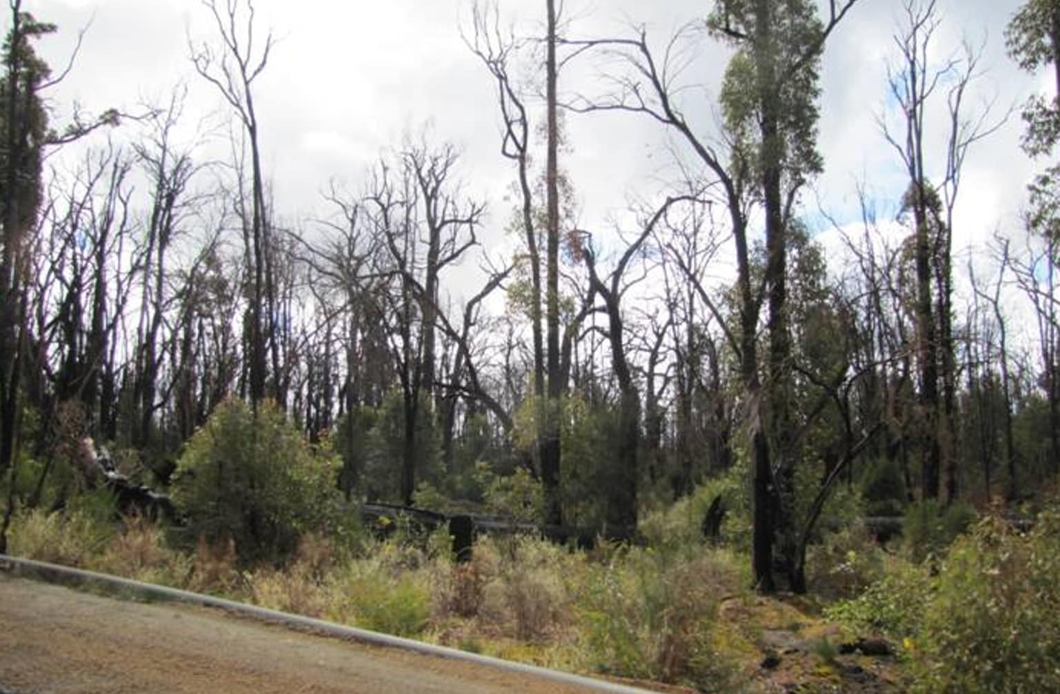 Headfire area