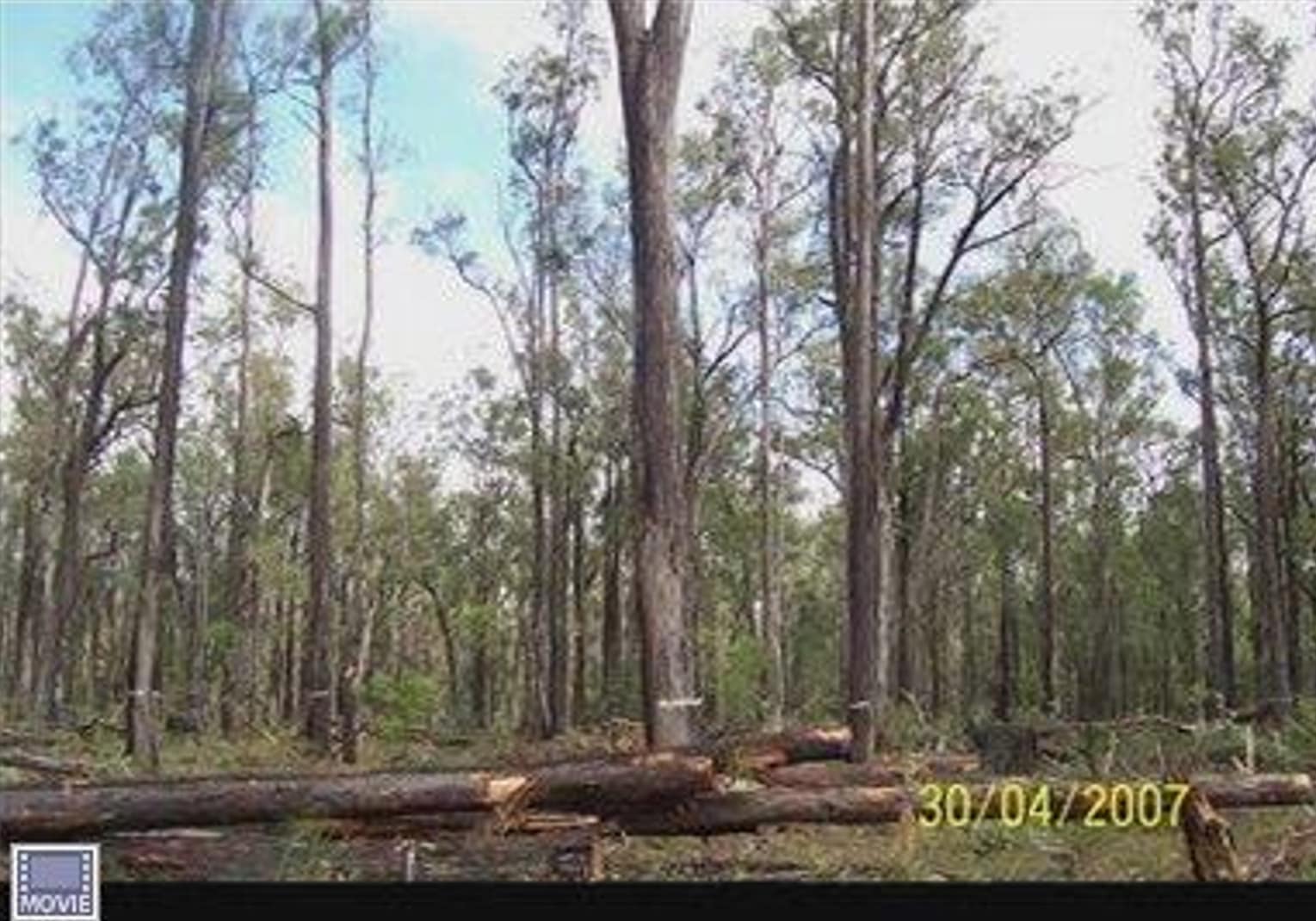 Thinned area