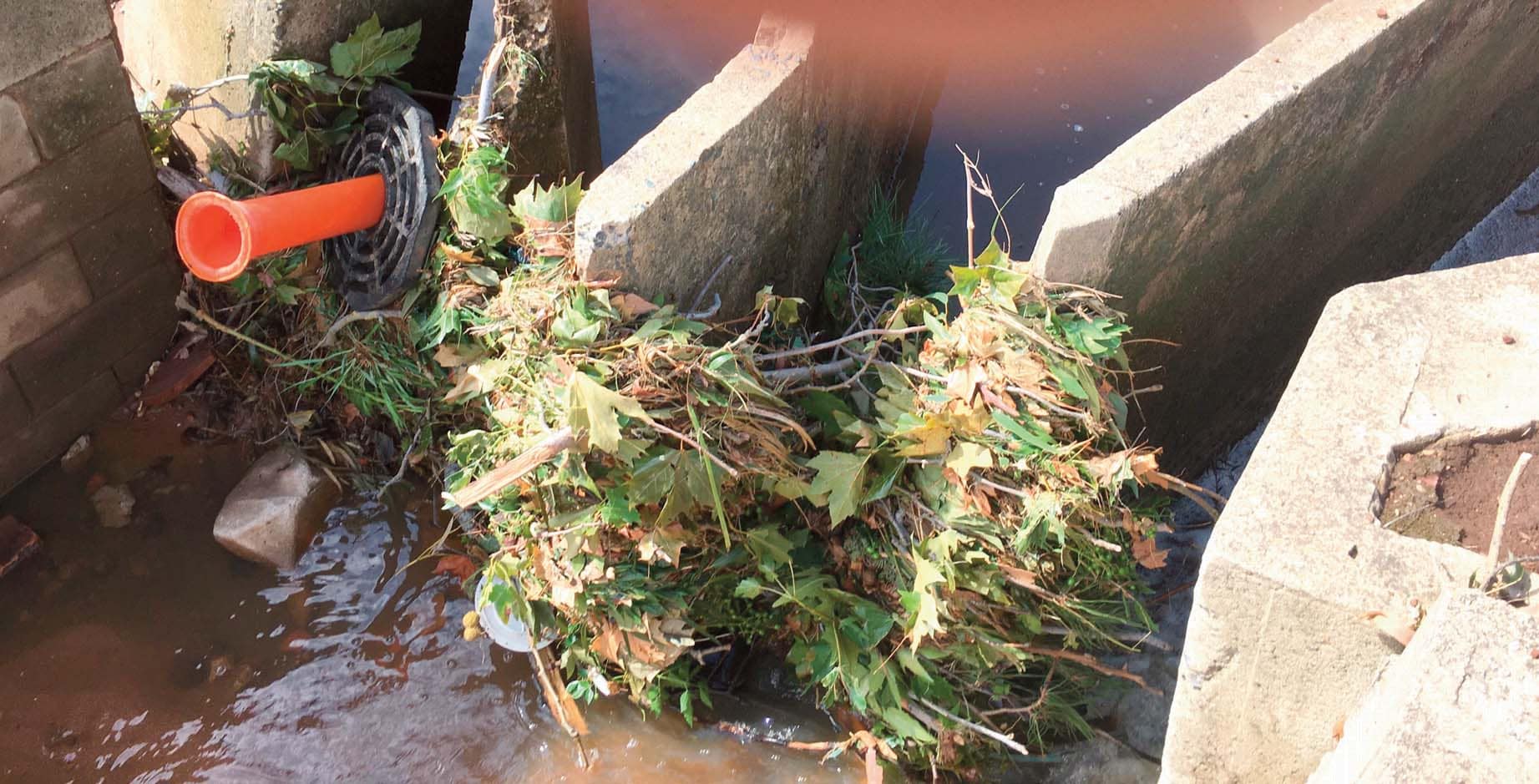 Blocked drains