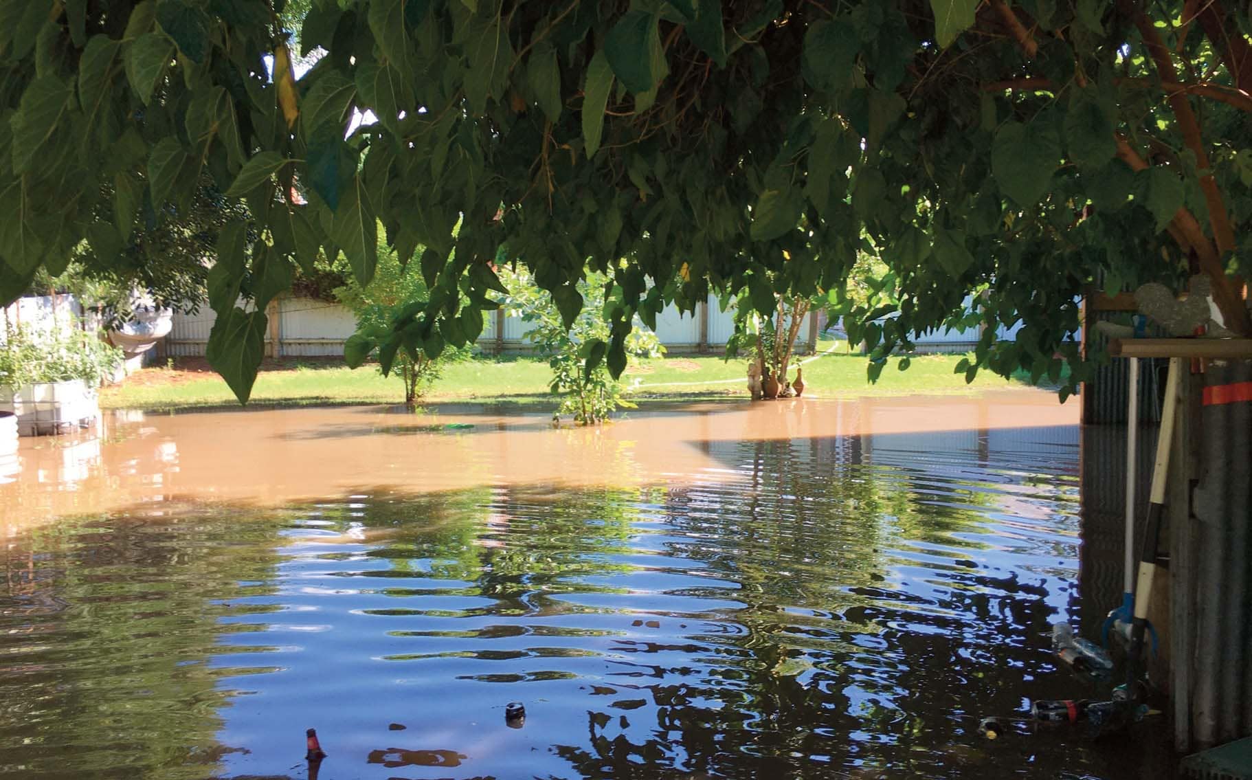 Flooded backyard in Narrandera