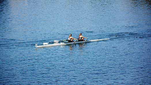 Oarsome sight