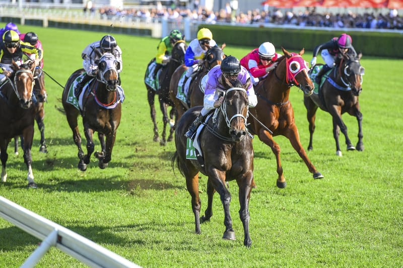 Horse race