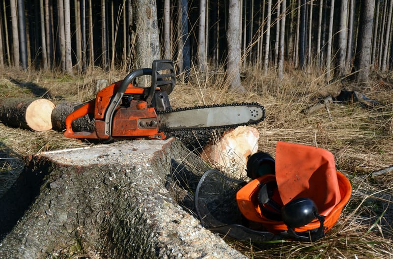 Woodcutter tools